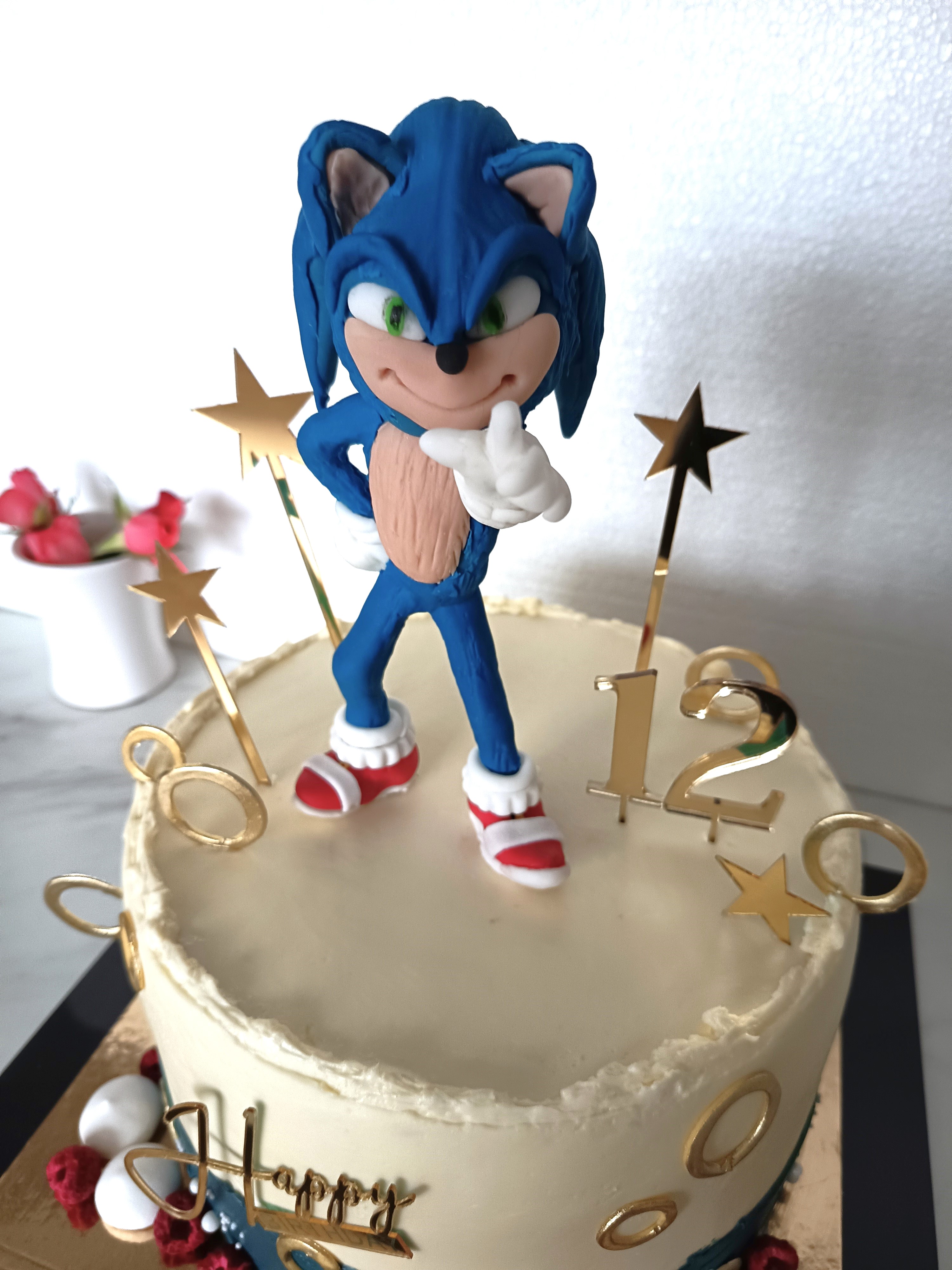 Ježko Sonic pre Mareka1
